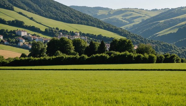 Prix m2 terrain pays basque août 2025 : état du marché actuel
